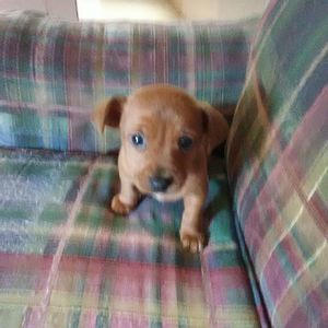 Meet your Posher, Marie